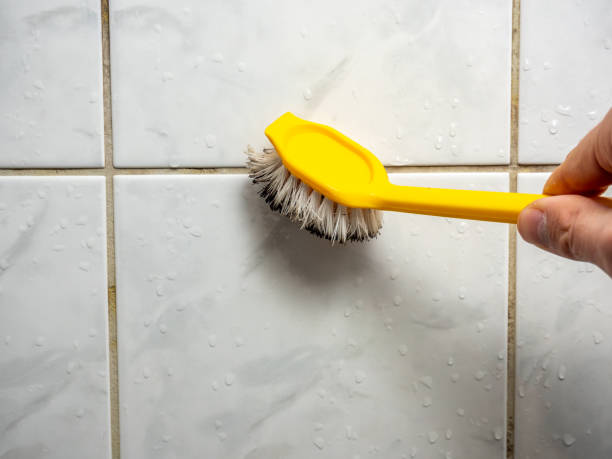 Best Mold Remediation Experts  in Pen Mar, PA