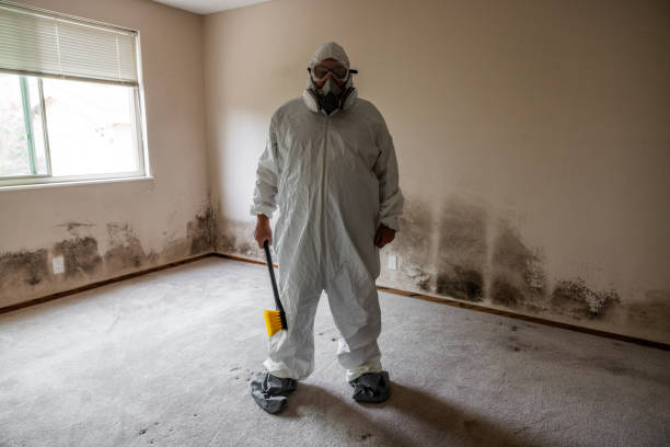 Best Mold Damage Repair  in Pen Mar, PA
